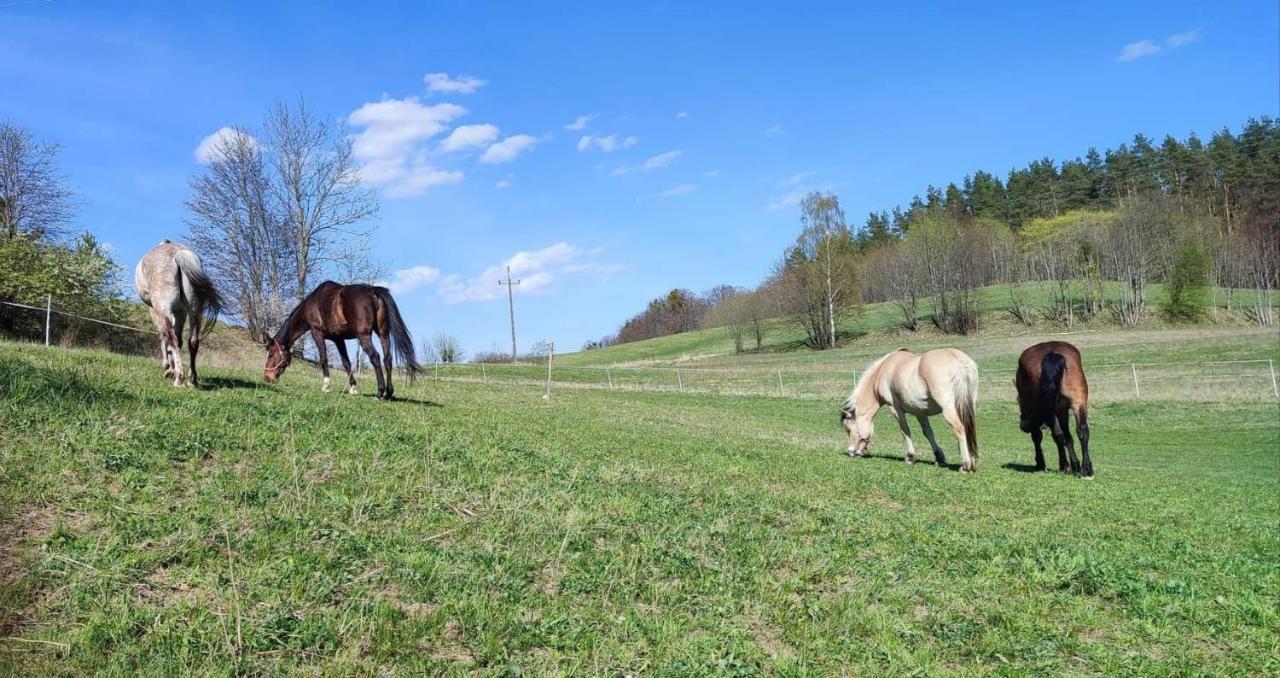 Domek Zielenina Mierzeszyn Luaran gambar