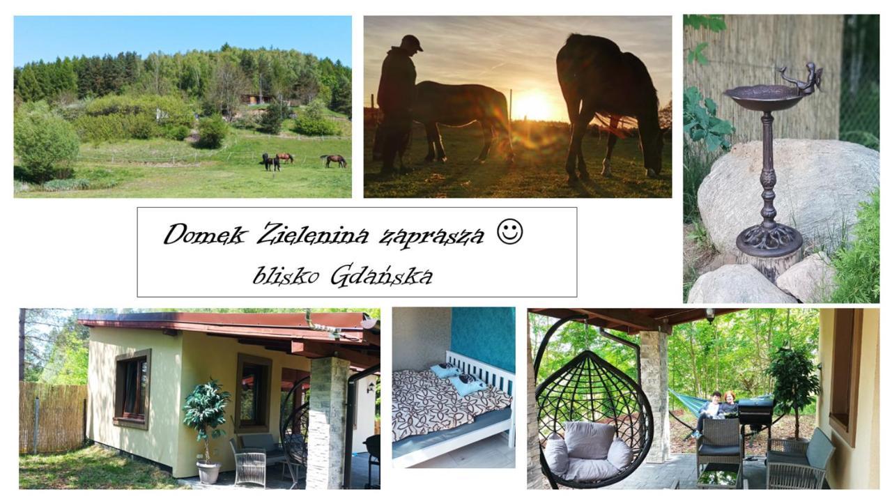 Domek Zielenina Mierzeszyn Luaran gambar