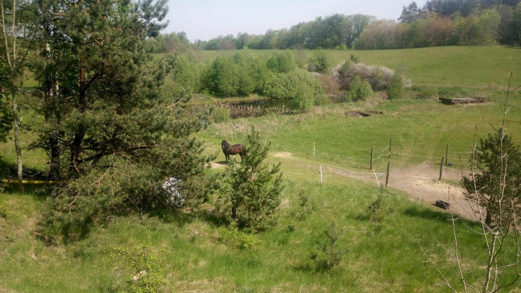 Domek Zielenina Mierzeszyn Luaran gambar